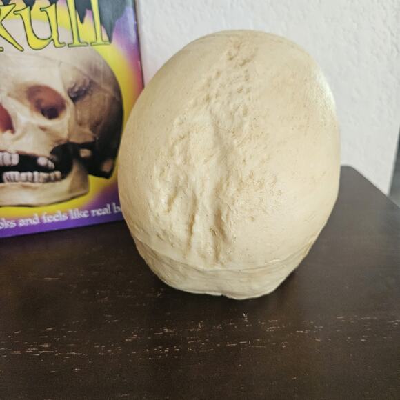 Vintage Halloween Skull Blow Mold Hinged Moveable Jaw Paper Magic Group - Picture 4 of 10